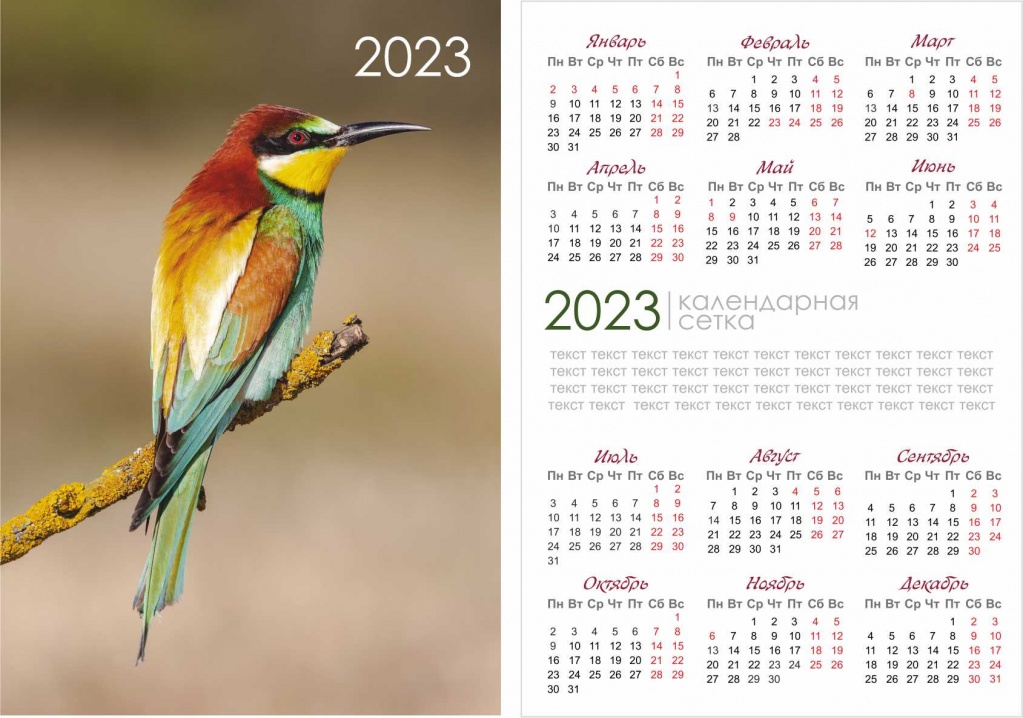 Календарная сетка на 2023 год скачать бесплатно календарь