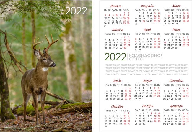 Сетка карманного календаря 2022 вертикальный