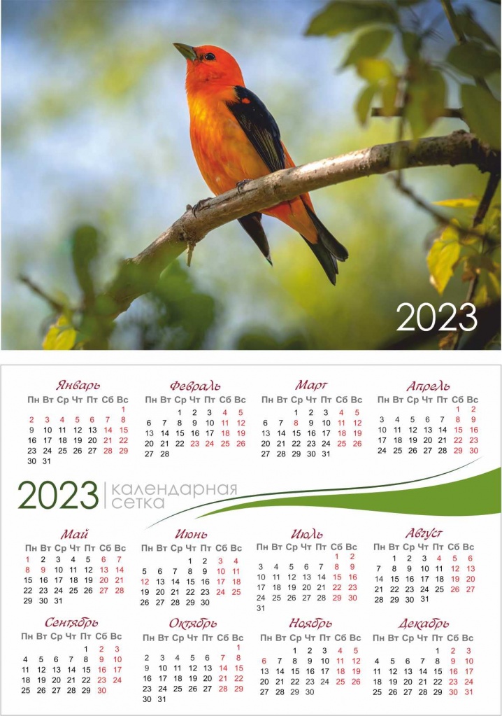 Календарная сетка на 2023 год скачать бесплатно календарь