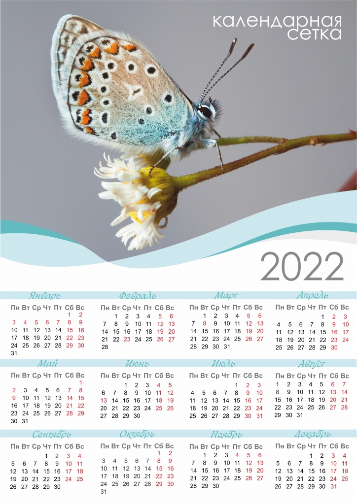 Календарная сетка на 2022 год скачать бесплатно календарь