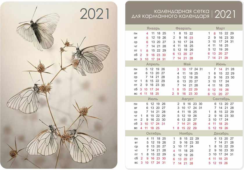 Карманный календарь 2021 3