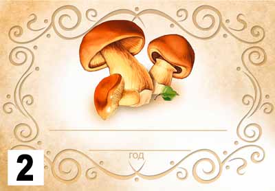 Шаблон грибы