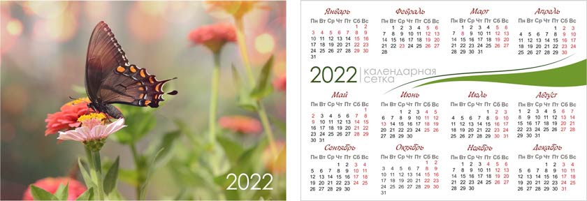 Сетка карманного календаря 2022 горизонт
